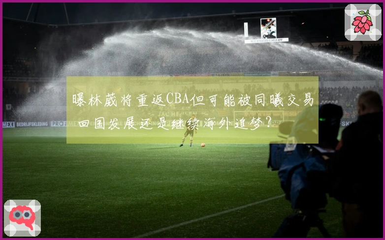 曝林葳将重返CBA但可能被同曦交易 回国发展还是继续海外追梦？