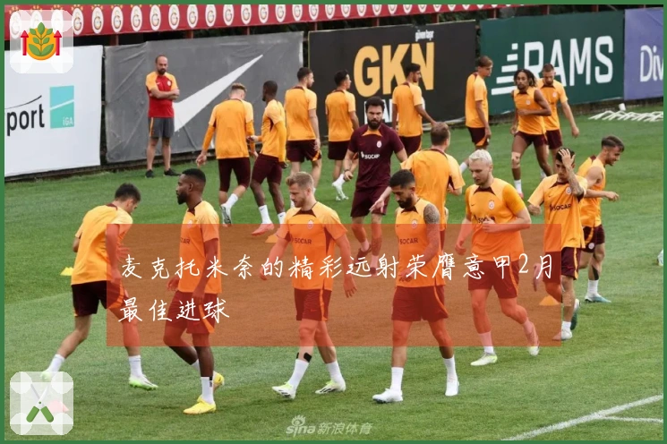 麦克托米奈的精彩远射荣膺意甲2月最佳进球